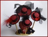 sa323 hat shop display