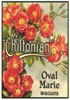 SAS012 Chiltonian Oval Marie Biscuits