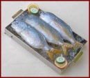 SA194 Tray of Fish on Ice