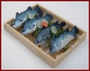 SA310 Tray of Fish on Ice