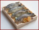 SA311 Tray of Fish on Ice