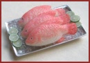SA318 Tray of Fish on Ice