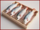 SA339 Tray of Fish on Ice